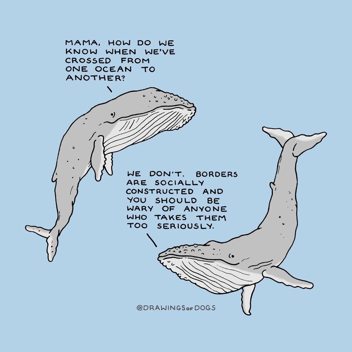wwatsonwright's tweet photo. Love it! @OceanFrontier @OceanLitCanada @CANoceanlitCO https://t.co/ZwzCgdM9ah