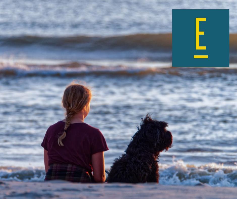 pdf South-Western Federal Taxation: Comprehensive