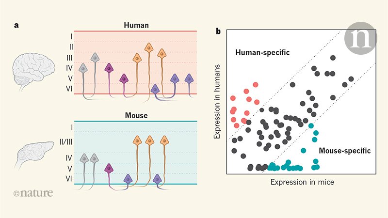 free quantum simulations of materials and biological systems