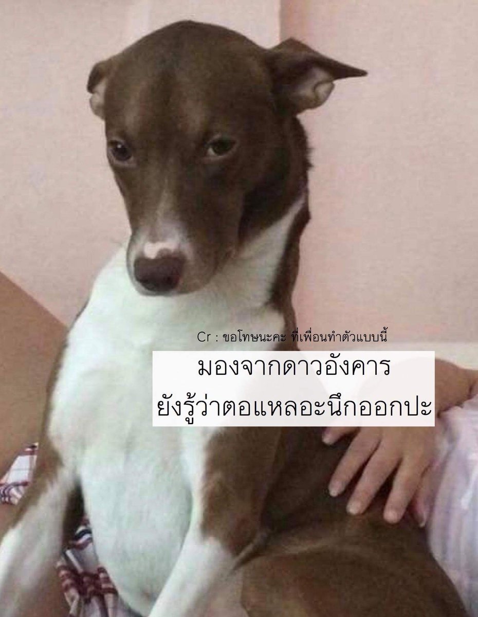 xiumin e_xiu_o❄ tweet media