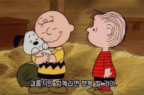 관린이가 최고야 tweet media