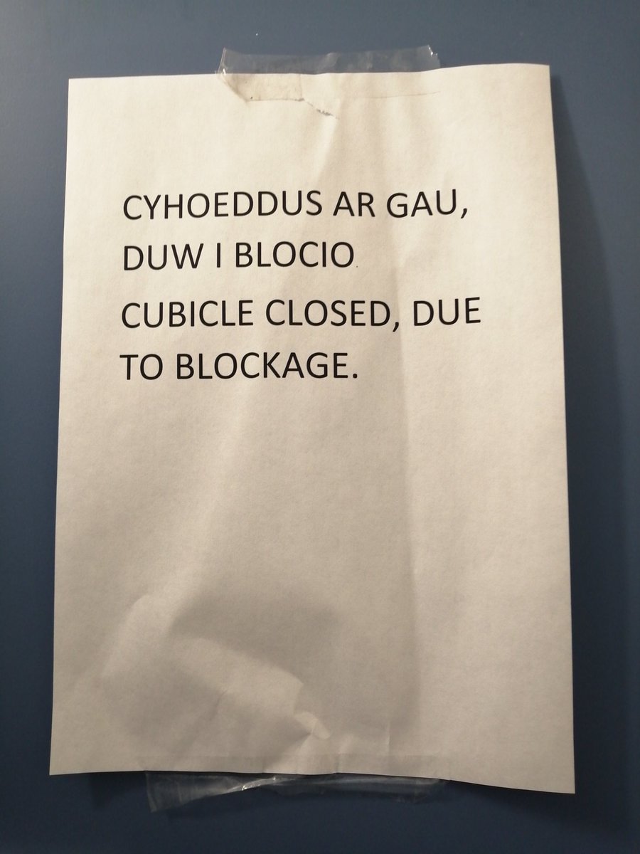 Casia_Lisabeth's tweet photo. Sa rywun yn meddwl bod gan Dduw bethau gwell i neud fyd #cyfieithushabi #sgymraeg https://t.co/8xXpYnthML