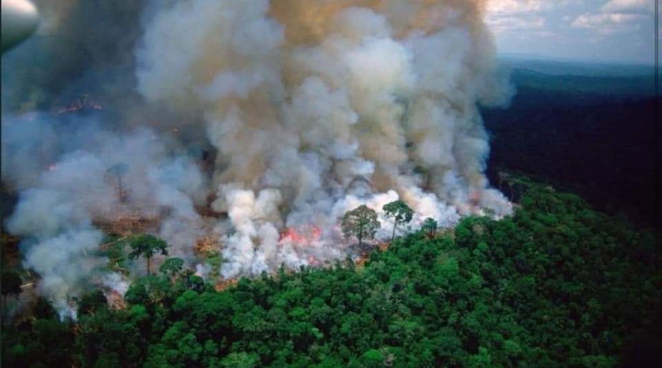 lifeinceylon's tweet photo. Fires are raging at a record rate in Brazil's Amazon rainforest,and scientists warn that it could strike a devastating blow to the fight against climate change.Amazon is often referred to as the planet's lungs, producing 20% of the oxygen in the Earth's atmosphere.
#AmazonFire https://t.co/7cRQTpmOJr