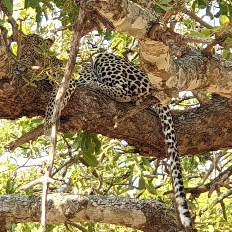 Looking for a lunch, for more excitement we open and the weekend is around. Karibuni