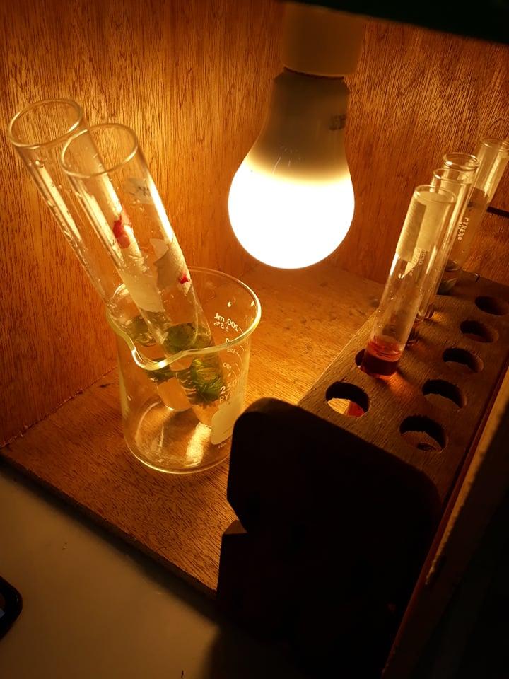 Heredith__'s tweet photo. #bio11lab #nonalcoholics #rugbyboi https://t.co/kmI4pdyWJA
