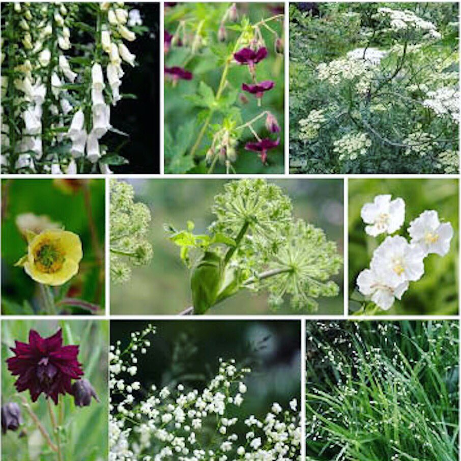 Kate & Tamara tweet media