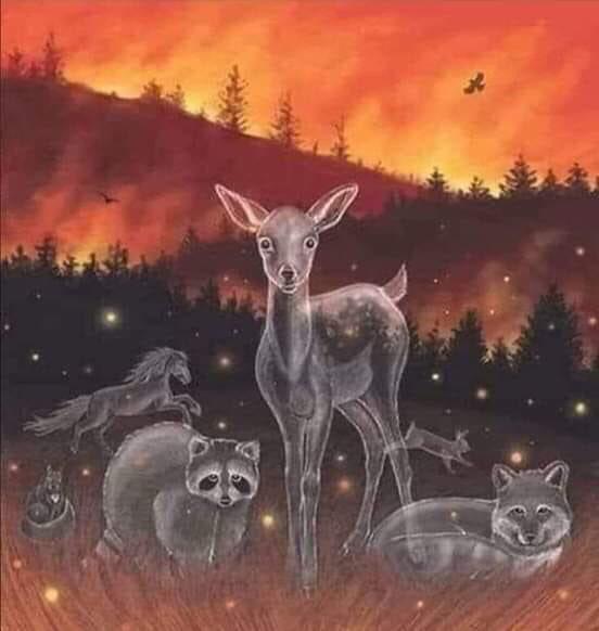 ECkguLcUcAAt2mK?format=jpg&name=small