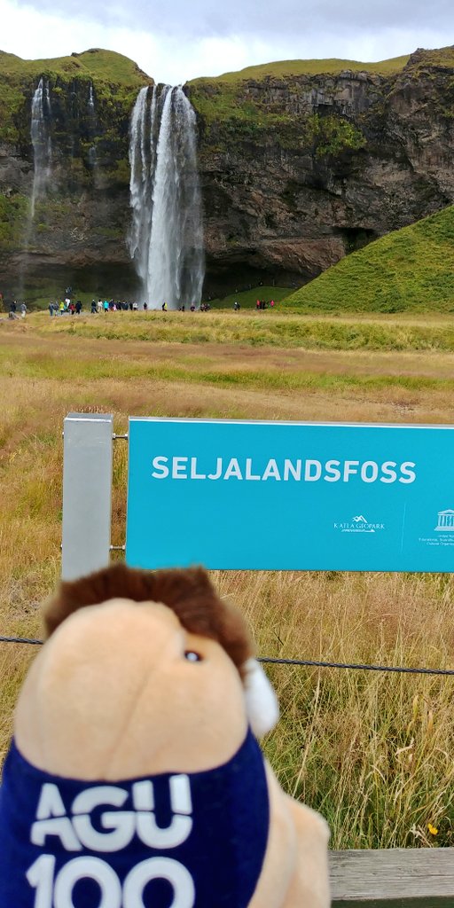 AGU_Eos's tweet photo. Yesterday at #ExSS4, Wanda the (adventure)Walrus learned about Iceland's geothermal energy, visited Seljalandsfoss waterfall, and saw her first glacier, Sólheimajökull 🇮🇸
#ExSSIV #AGU100 https://t.co/qSRfVjkcqn