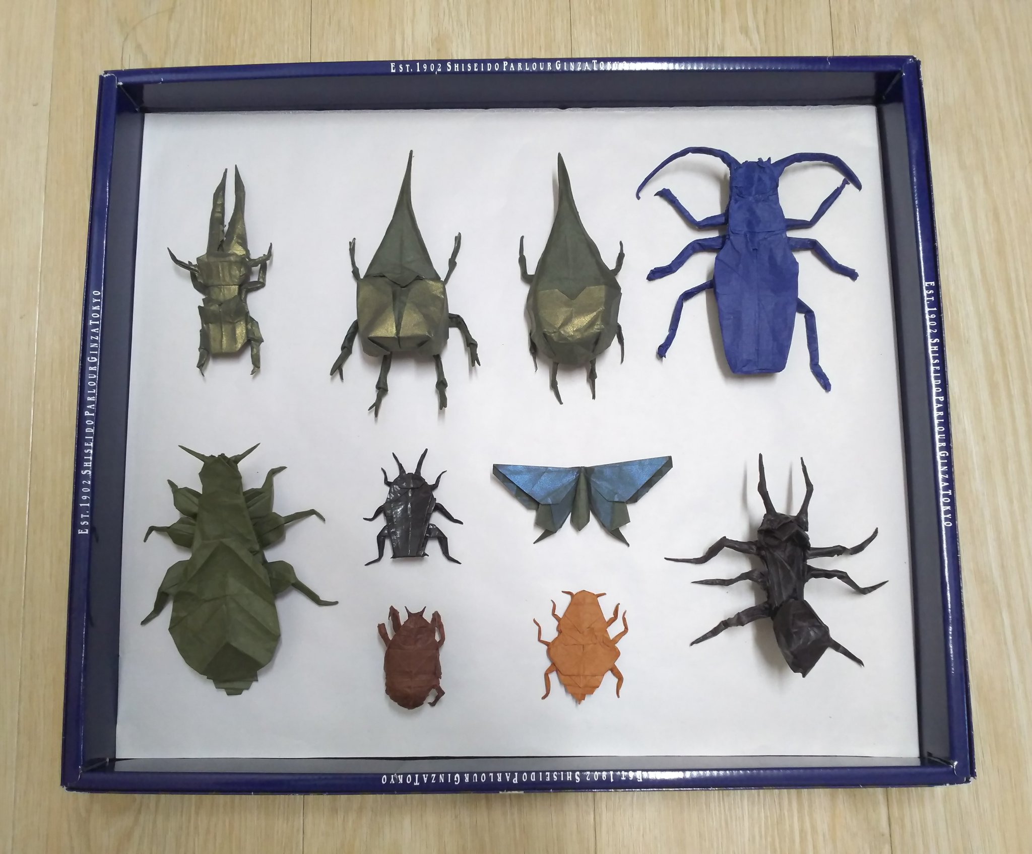 Tぼうし 小学生最後の自由研究は大好きな折り紙にしたい と思って 折り紙昆虫標本を作りました ほとんど折った事がなかった昆虫に挑戦してすごく大変だったけど 思い出に残る作品になりました ガチ折り19夏 T Co Niwxjcs3ev Twitter