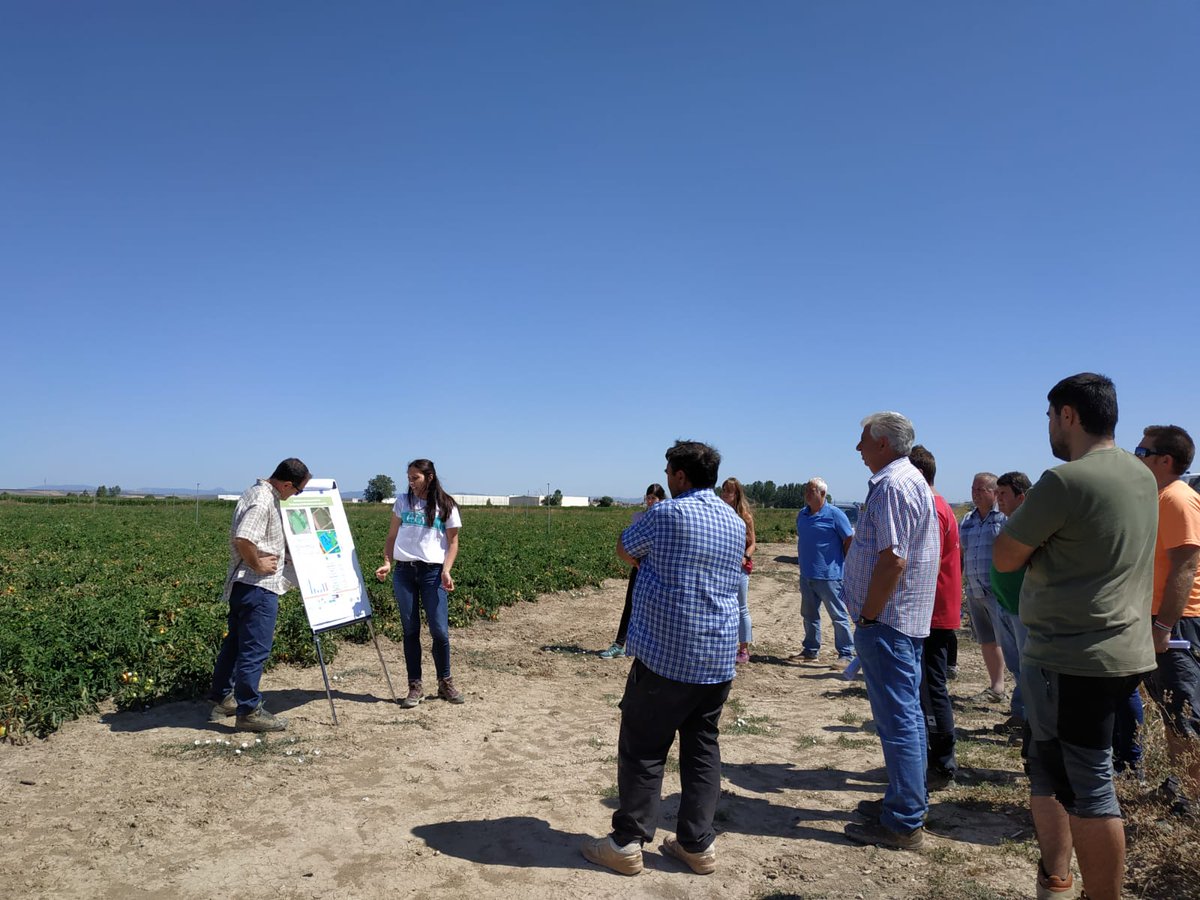 lifeagrogestor's tweet photo. #Agricultores de #Funes  aprendiendo a manejar herramientas #NMin y sondas de riego  @lifeagrogestor @IntiaSa Laboratorio vivo @AgriLink2020 para la mejora del servicio de asesoramiento en #Riego y #Fertilización en #tomate HAD Riego @lifeagrogestor @IntiaSa https://t.co/PW544x9Kf6