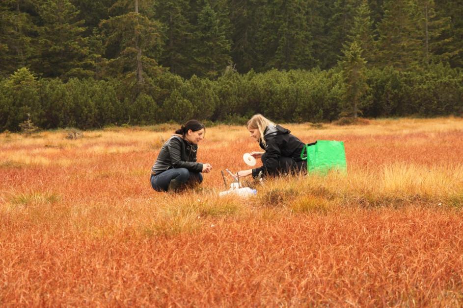 We continue updating the mid-conference excursions. With this one you will visit our highest mountain range with sites of almost 30 years of pollen monitoring and some Holocene sediments too! More at prague2020.cz #IPC_IOPC2020 #palynology #paleobotany #holocene