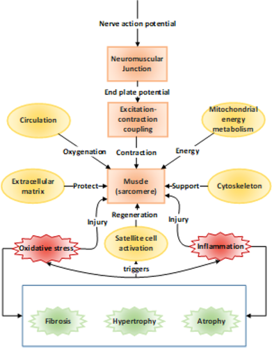 free disease modifying targets in neurodegenerative disorders paving the way for disease modifying