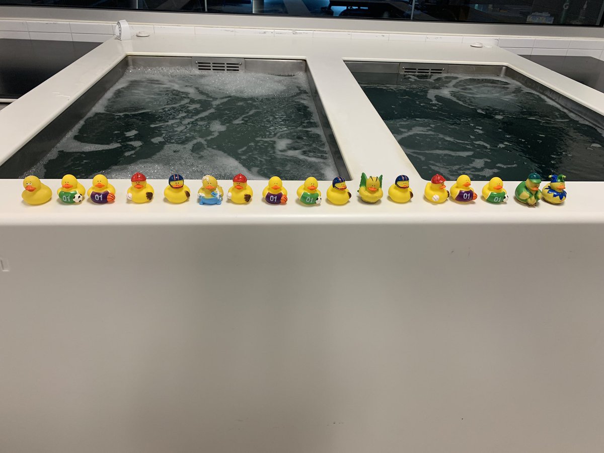kmjensonatc's tweet photo. The gang’s all here! #hackleyschool #hackleyhornets #hackleyathletictraining #grimmwhirlpools #rubberducky @HackleySchool https://t.co/iInSbr8wy4