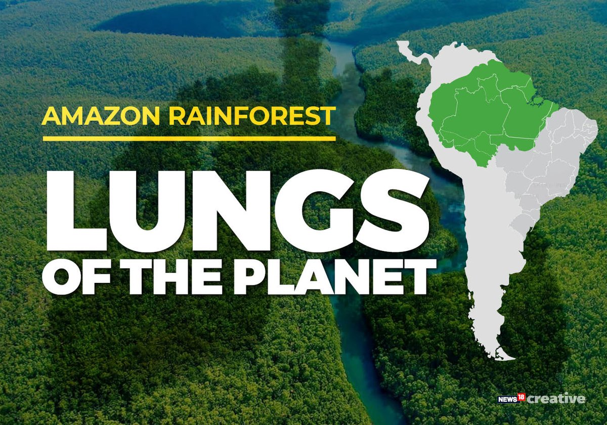 ForbesIndia's tweet photo. The fires in the Amazon rainforest have been raging since a fortnight, and it is only one of the 73,000 forest fires detected in the region in 2019 alone.
#AmazonForest #AmazonRainforest #savetheamazon https://t.co/nduE9mw5wE https://t.co/I0uztlePwI