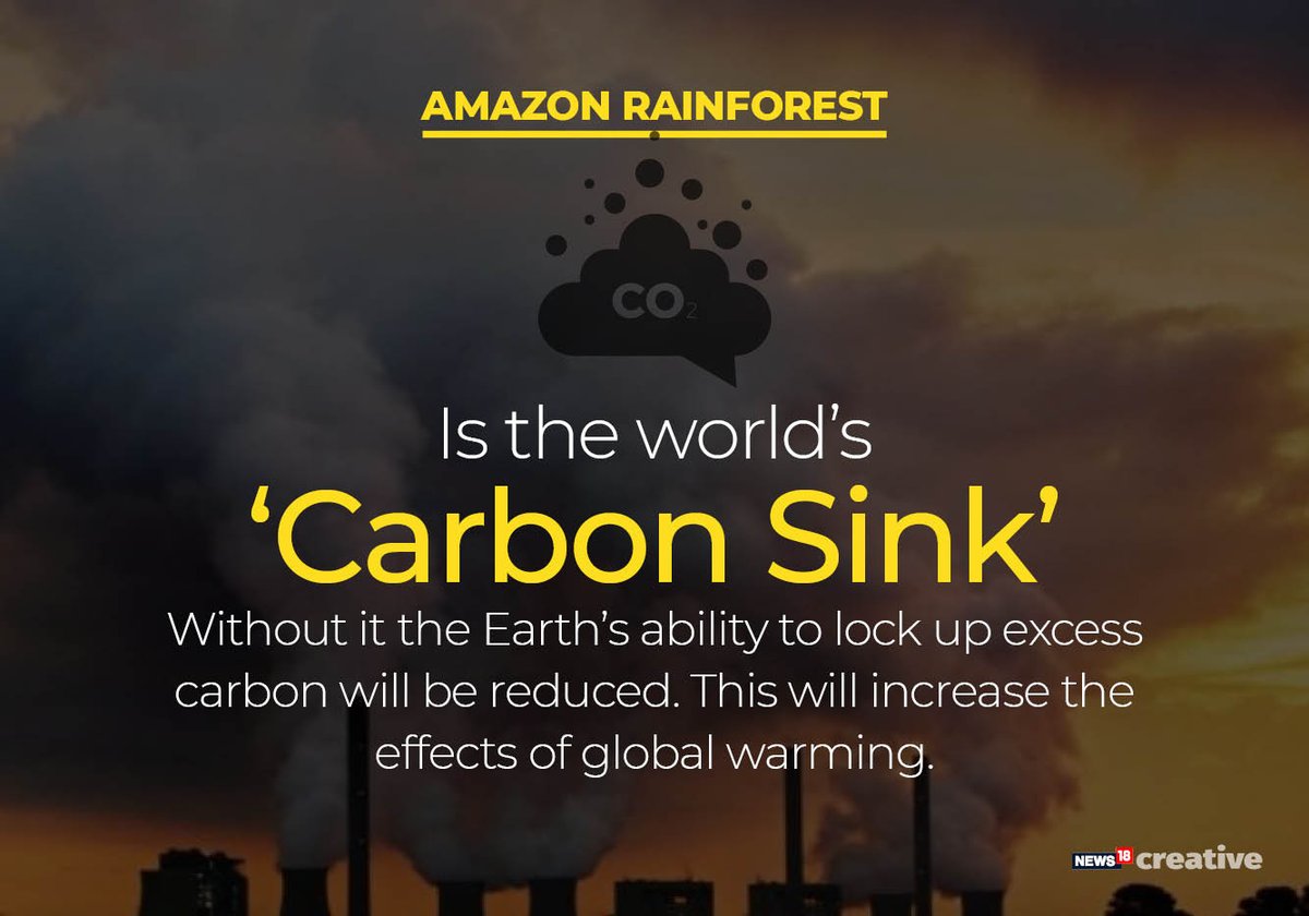 ForbesIndia's tweet photo. The fires in the Amazon rainforest have been raging since a fortnight, and it is only one of the 73,000 forest fires detected in the region in 2019 alone.
#AmazonForest #AmazonRainforest #savetheamazon https://t.co/nduE9mw5wE https://t.co/I0uztlePwI