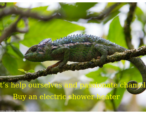 UPlantATree's tweet photo. Save our planet and dangerous chameleon from where you live, please visit my FB https://t.co/Q1NmLW0uJp, #crisiscommons, thank you https://t.co/N6KEwScM6c