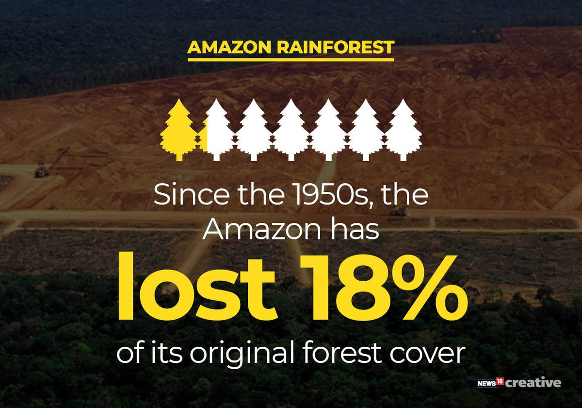 ForbesIndia's tweet photo. The fires in the Amazon rainforest have been raging since a fortnight, and it is only one of the 73,000 forest fires detected in the region in 2019 alone.
#AmazonForest #AmazonRainforest #savetheamazon https://t.co/nduE9mw5wE https://t.co/I0uztlePwI
