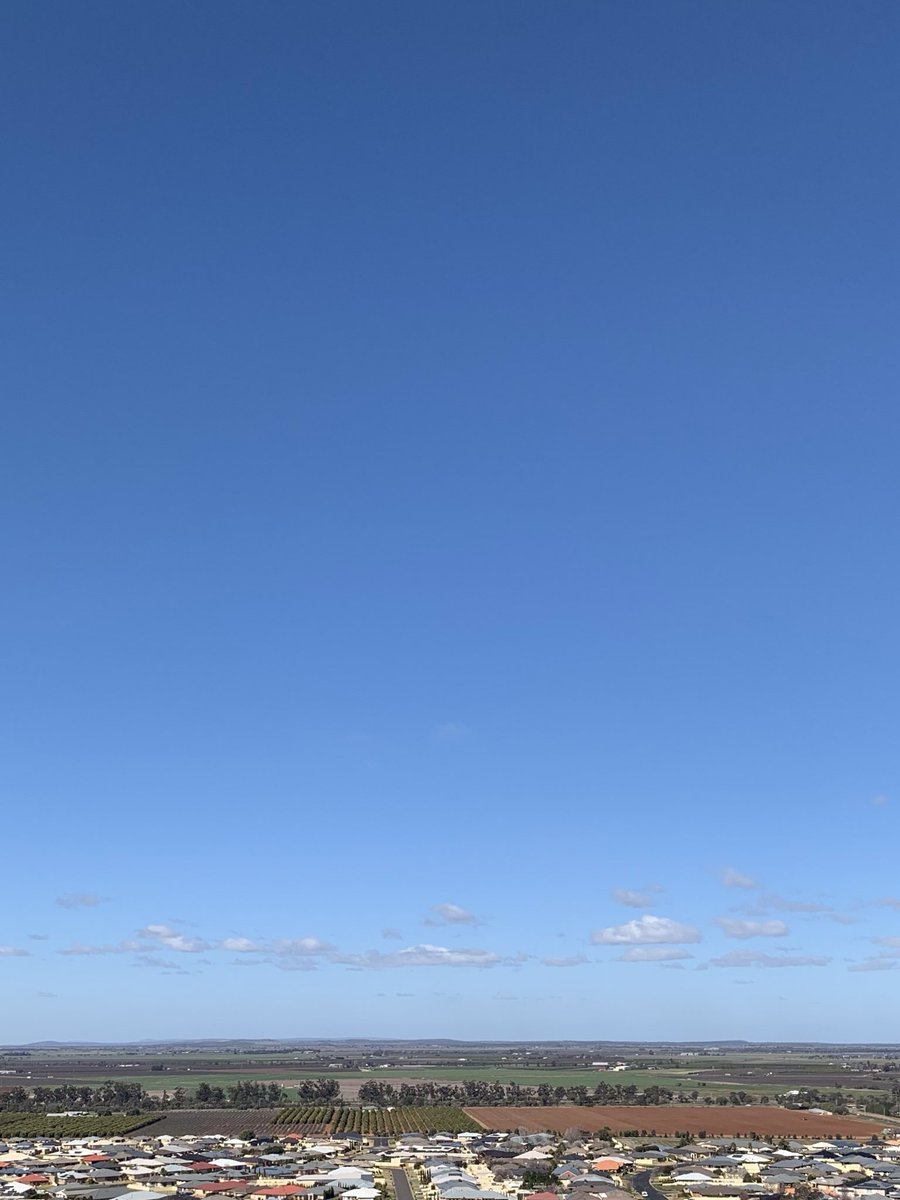 Quick tour of Griffith today - impressive citrus and vineyard plantations, and more than a nod to its Italian heritage. Sorry to be missing the salami showdown this weekend 😋