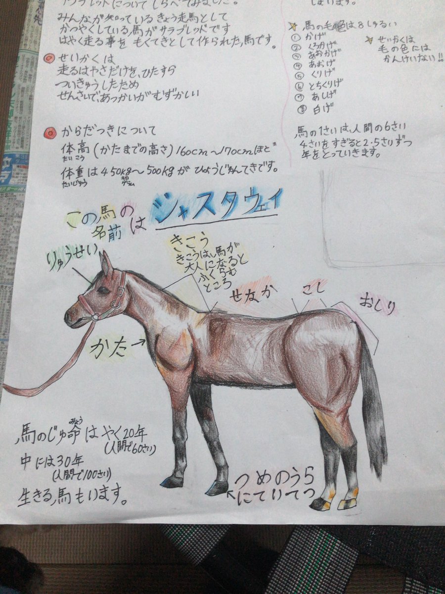 小学3年女子