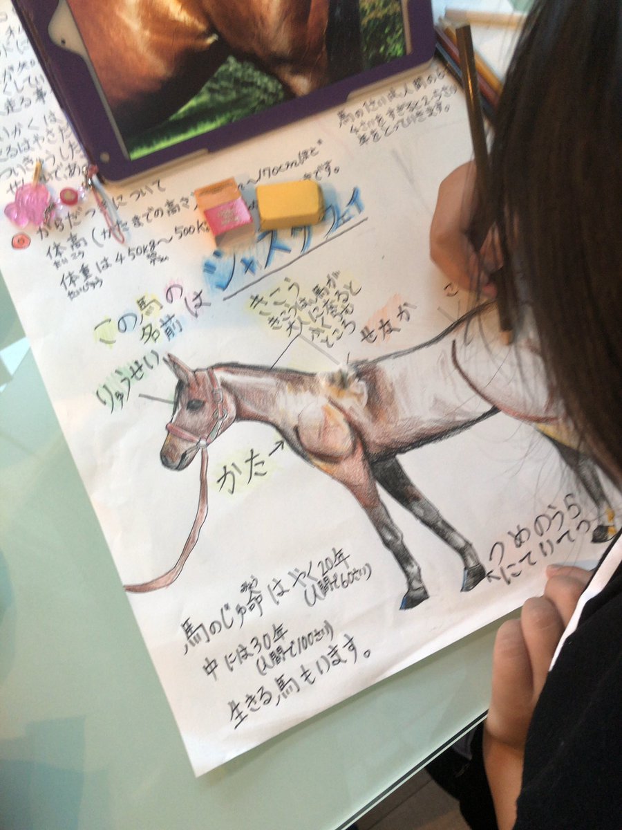 Qoo935 در توییتر 小3自由研究 馬が好き 絵を描くのが好き ジャスタウェイ 将来の夢馬と関わる仕事がしたい ジャスタウェイに会いたい 馬と触れ合いたい 小学3年女子 Qoo935 در توییتر 小3自由研究 馬が好き 絵を描くのが好き ジャスタウェイ 将来の夢馬と関わる仕事がしたい ジャスタウェイに会いたい 馬と触れ合いたい 小学3年女子