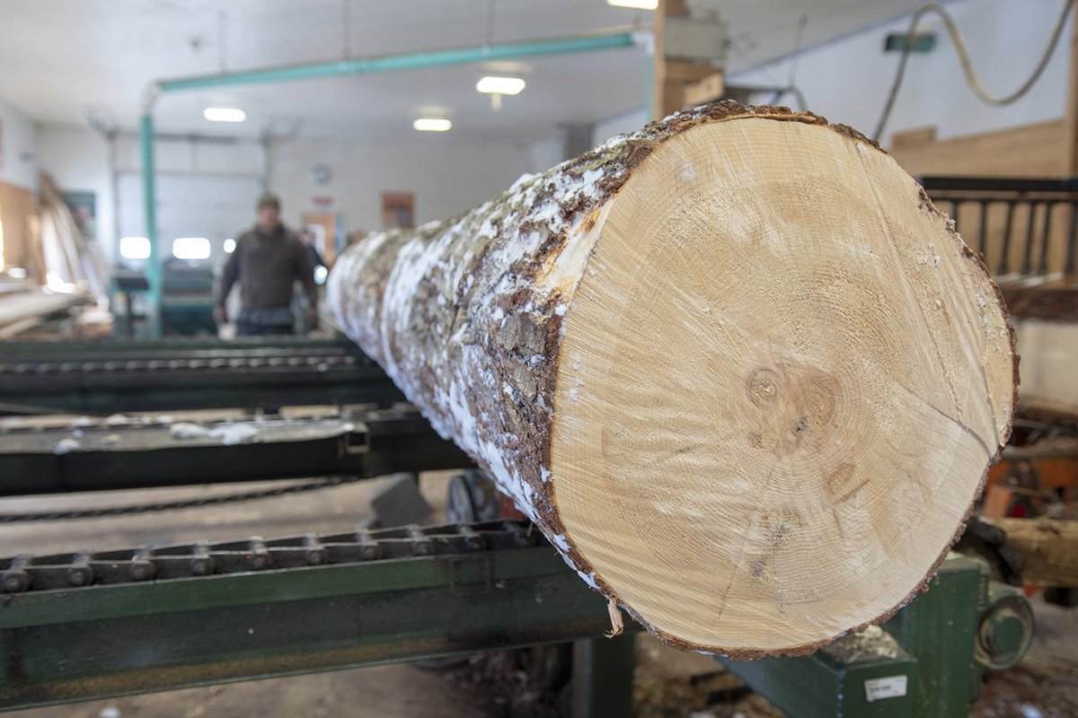 VTForestSummit's tweet photo. Trust, relationships forged in a small state, and a shared love of forests are at the foundation of this post + beam home on #LakeIroquoisVT. https://t.co/mHgDrC3Vce #forestproud #localwoodlocalgood #vermontwood https://t.co/R4tExL5kLd