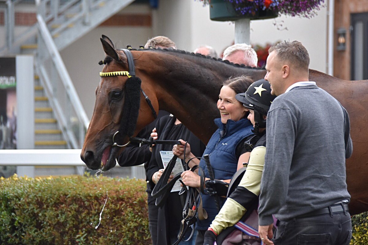 mrossi11's tweet photo. All smiles @amajox #ShannonWatts on the well turned out #Hugoigo Congrats @JDeltaRacing @JimGoldieRacing on yesterdayβs #winner #CarlisleRaces https://t.co/9YmOiNp0uB