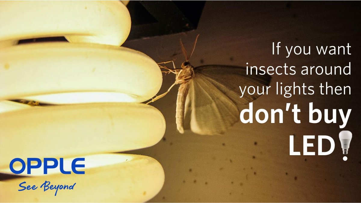 Oppleindia's tweet photo. LED lights are much less attractive to nuisance insects than traditional filament lamps! Switch to LED, switch to OPPLE!!!
#DidYouKnow #LED #InsectsRepellent #LEDsAdvantage #LedLights #LEDsAreBetter #LEDBulbs #OPPLE #Lighting #India https://t.co/KNzPBS8Q3i