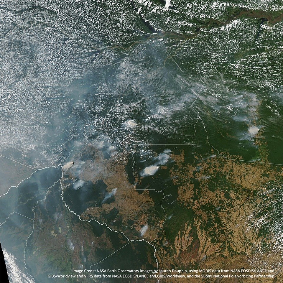 WWFespana's tweet photo. Las áreas dañadas en la #Amazonia serán más vulnerables a sequías, inundaciones y a otros efectos del #CambioClimático, por la falta de cobertura vegetal🔥

También se reducirá también su capacidad de absorción de dióxido de carbono 😰 #PrayForTheAmazon #AmazonasEnLlamas https://t.co/SIx8voIvUR