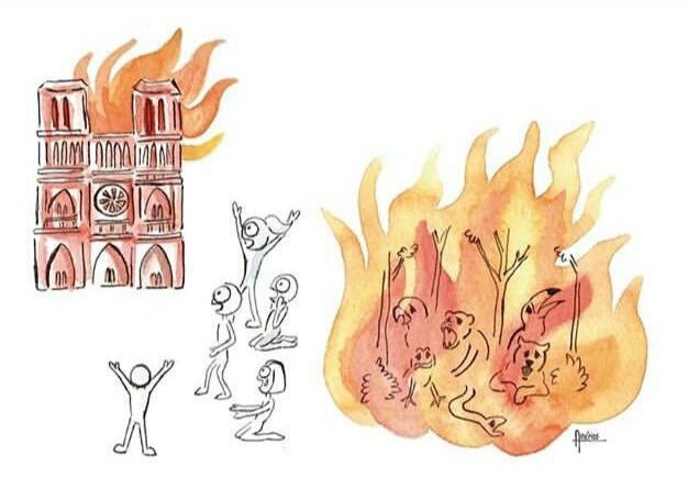 #Amazonas vs #NotreDame