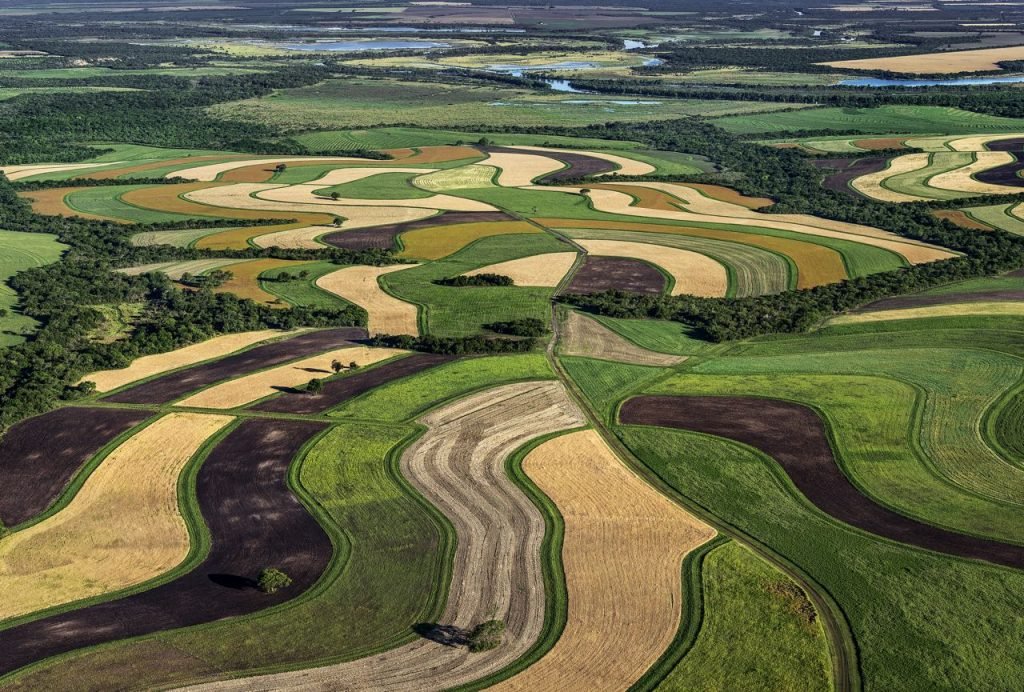 soel_de's tweet photo. Am 19.09. startet unsere neue Webinar-Reihe "Aufbauende Landwirtschaft"! Zusammen mit Stefan Schwarzer (Co-Autor „Die Humusrevolution“) bietet die Siftung Ökologie &amp; Landbau (SÖL) dieses Format an.
#Boden #Agroforst #Marketgarden
Bild: Luis Franke
https://t.co/7bFLh8WiOO https://t.co/W1uomqj0Ir
