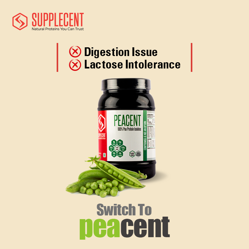 supplecent's tweet photo. Facing digestion issues with Whey? Allergic to lactose? Moving to a sustainable vegan lifestyle? Switch to PeaCent by Supplecent. The tastiest and most effective plant protein on the planet.

#Supplecent #SwitchToPeacent #SwitchToSupplecent #NoSteroids #NaturalProteins https://t.co/VnCXA7RLFy