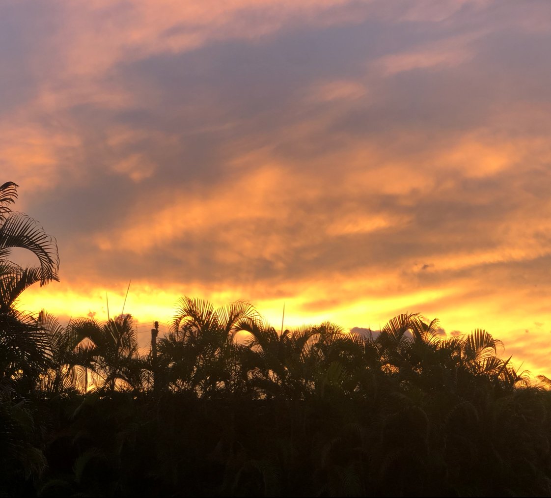 ariel_grunwald's tweet image. The same Source that gave you the idea, will give you the means to see it through. || La misma fuente que te dio la idea, te da la fuerza de verla concretada. ~ Alan Cohen
#goodmorning #vallarta