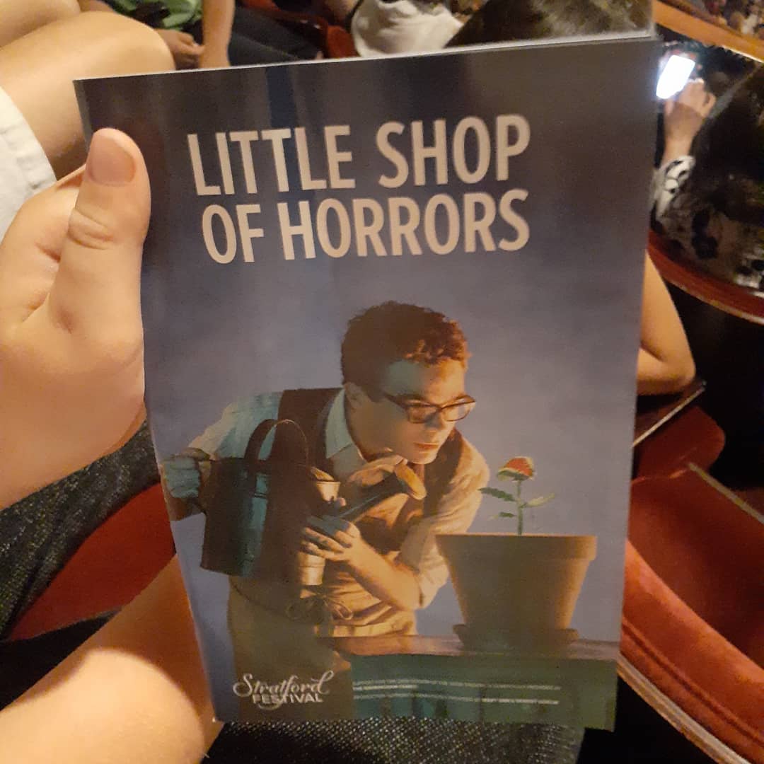 WEST_Oakville's tweet image. Wed Aug 21st at Stratford festival al.
#westendstudiotheatre
#littleshopohorrors
#actingforkids