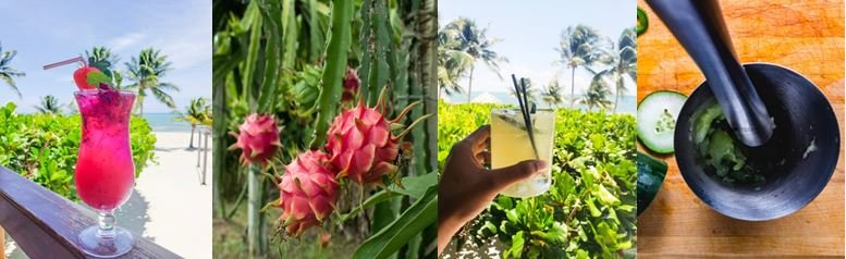 Belize_Resort's tweet photo. Happy #ThirstyThursday. https://t.co/5pahBcTHlM https://t.co/sB7rrAfRhD