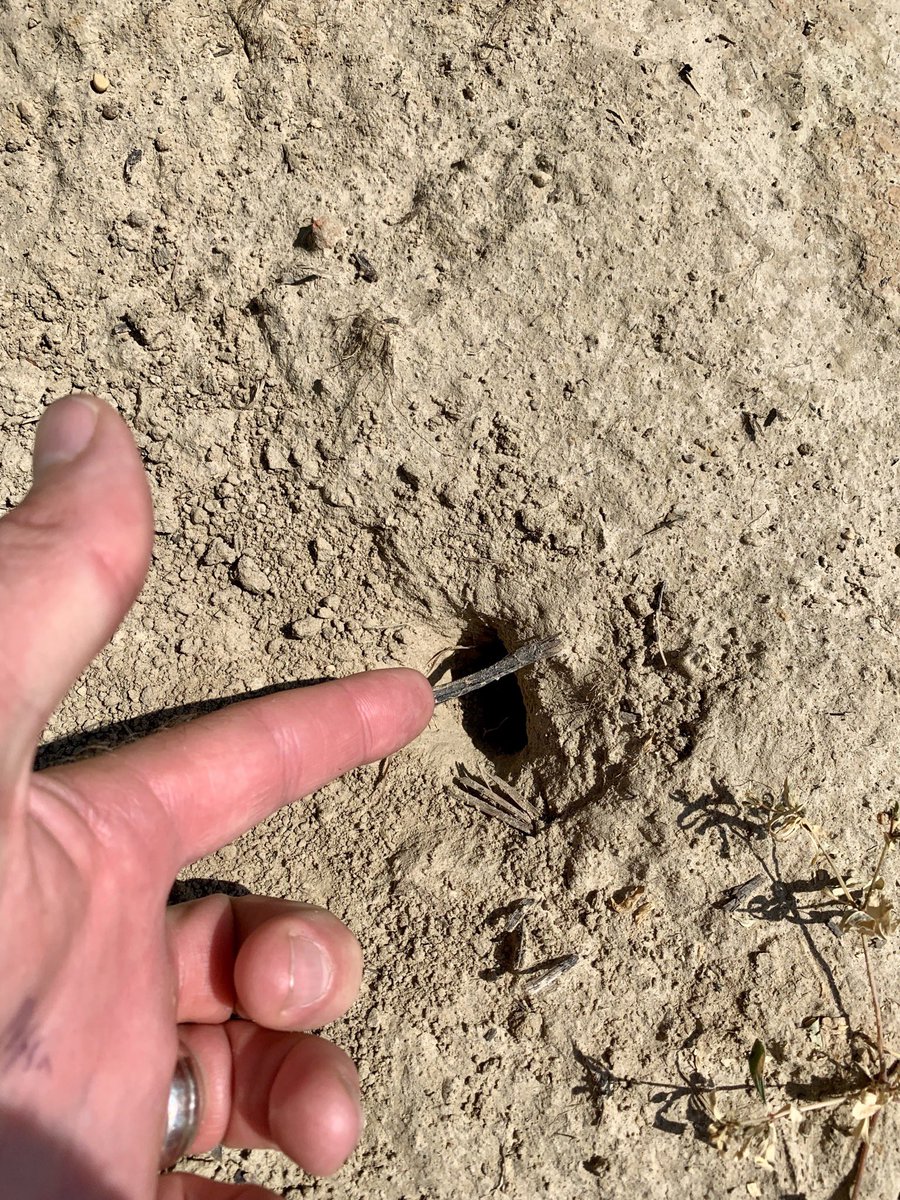 Dominic Reisig tweet media