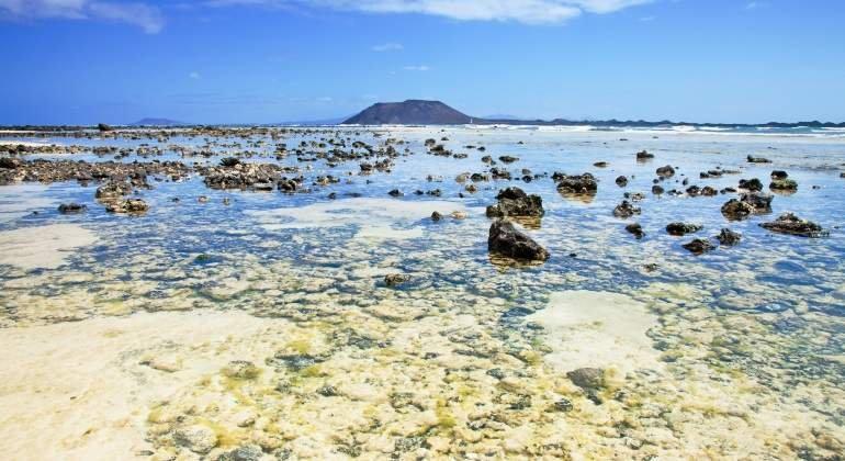 elEconomistaes's tweet photo. Las 10 playas a las que querrás ir este verano https://t.co/dftUR91sKe https://t.co/LAJPk3ruEo