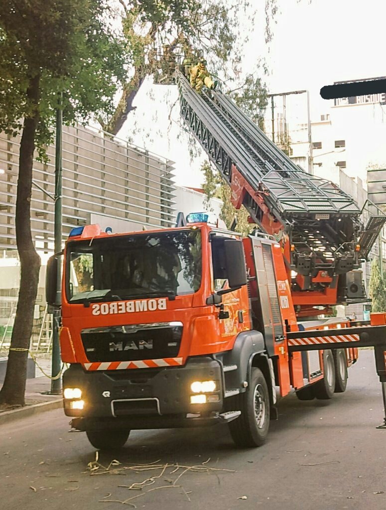 Alex Curiel 🌳🐾😷 🌬 💙 🙏 🇲🇽 tweet media