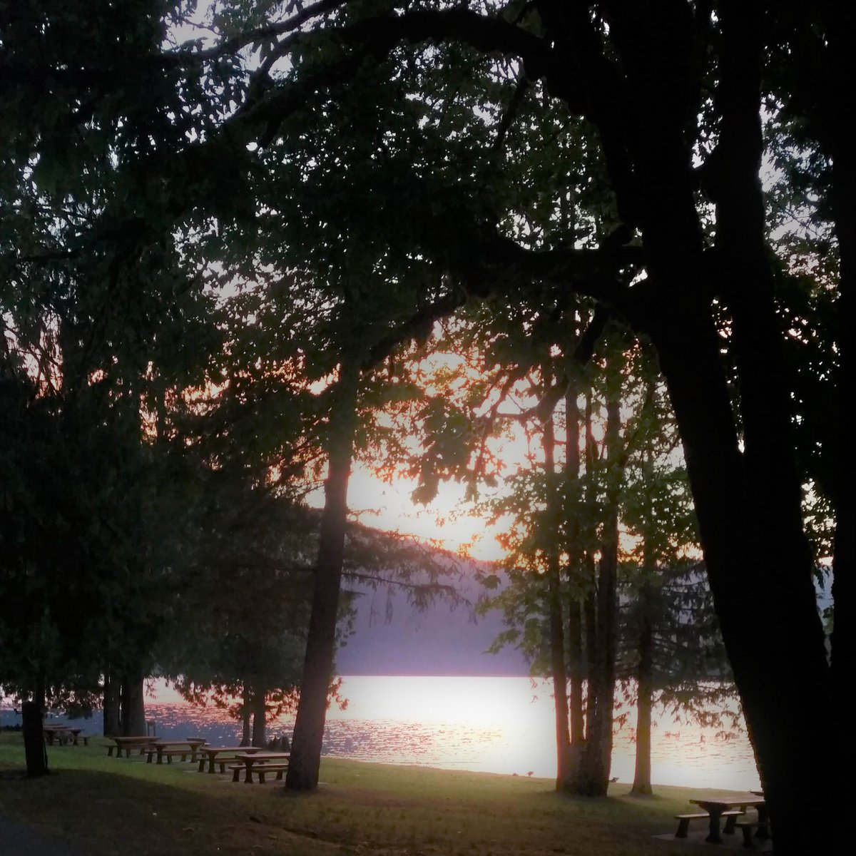 Classaheating's tweet photo. "And all at once, summer collapsed into fall." - Oscar Wilde

We are less than a week away from the first day of Fall - get your mitts and hot cocoa ready!! 🍃🍂

#wllw
#welovelocalwednesdays 
#wednesdaywisdom 
#chilliwackbc
#cultuslake https://t.co/Yk4ImiHtBE