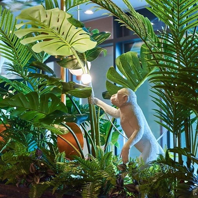 SELETTIworld's tweet photo. #Seletti #MonkeyLamp : To brighten up your daily jungle 🐵🌱🌿 #marcantonio via @openlinkin https://t.co/GCJN4xFF6n https://t.co/DdlEu57nqs