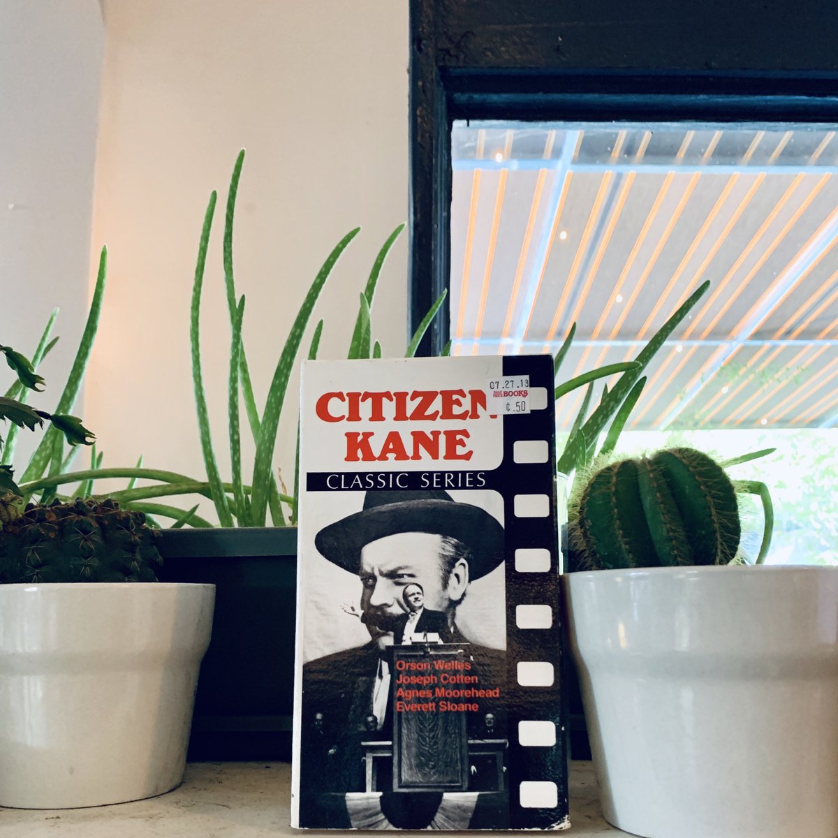 Sun in my Belly tweet media