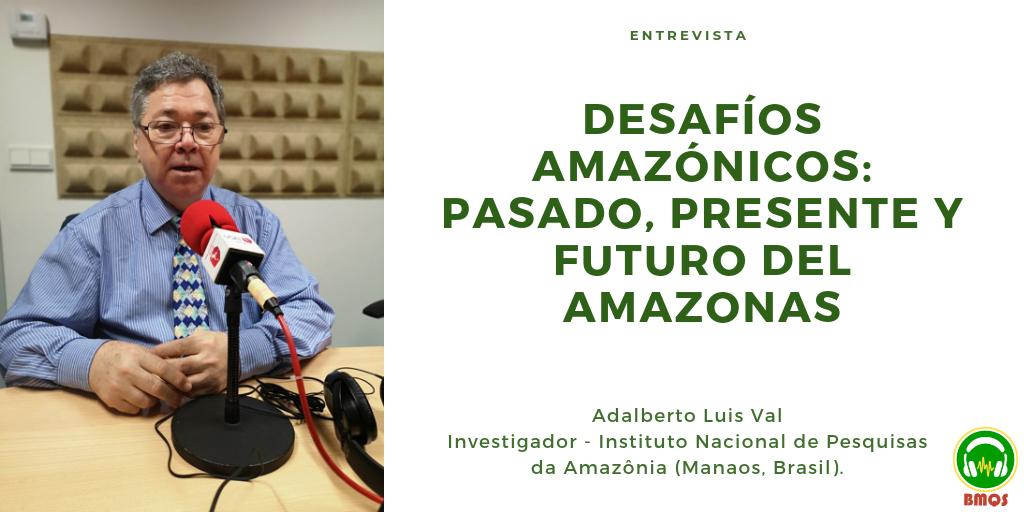 reb_usal's tweet photo. Entrevista con Adalberto Luis Val, investigador del Instituto Nacional de Pesquisas da Amazônia en el programa Brasil es mucho más que samba: https://t.co/FyFvA7Plgx
@cebusal @RadioUSAL @Ascom_Inpa #Amazonia https://t.co/0XuQNu3wRU