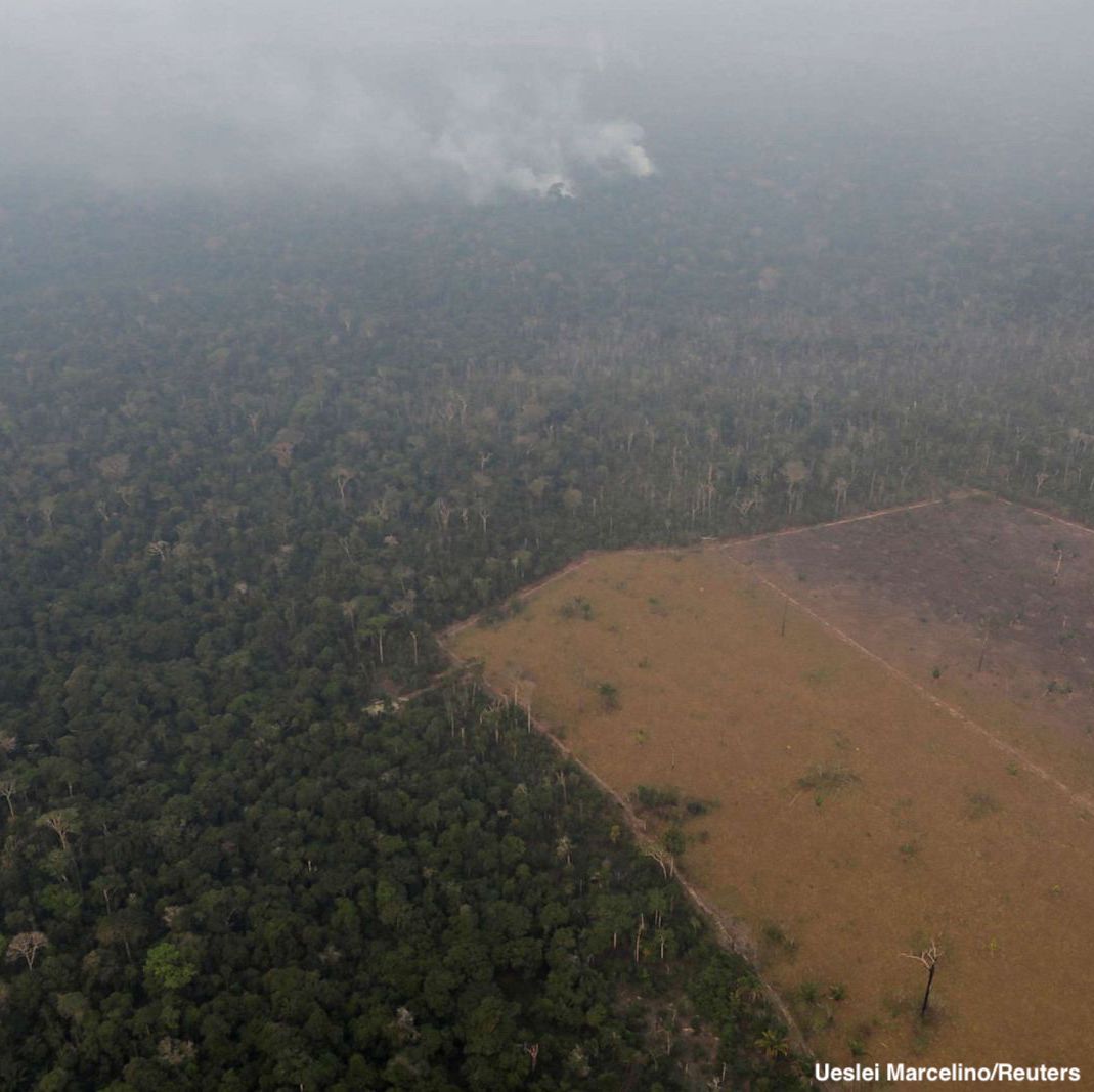 The Amazon is often referred to as "the lungs of the planet." It's home to 10% of the world's species and creates 20% of our oxygen.

There have been more than 74,000 fires in the Amazon since January, a massive increase over last year. abcn.ws/31Us1gP