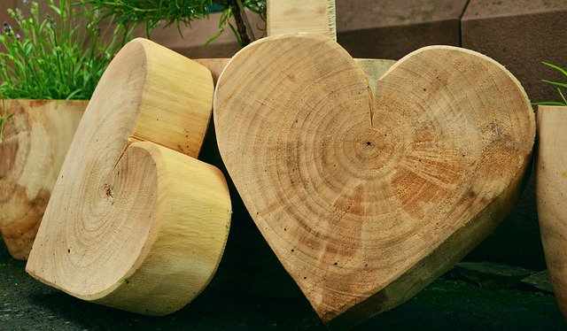 SunriseMoot's tweet photo. Our next moot is a workshop led by Suzi Elen Edwards - visiting from Essex! The workshop will look at sacred woods and how to craft with them. Take home what you make, entry £4 #Lowestoft #PaganChat https://t.co/v0P03wJV8s