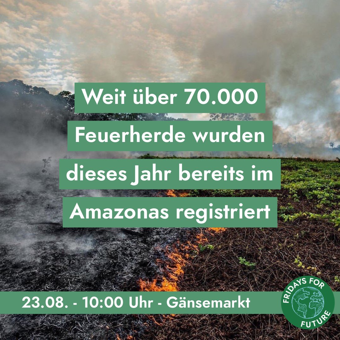 fff_hamburg's tweet photo. Alaska, Kanada, Sibirien, Amazonas - überall wüten verheerende Waldbrände, zum Teil verursacht durch Dürre und hohe Temperaturen aber auch durch gezielte Brandrodung. Die Konsequenzen dieser Zerstörung tragen nachfolgende Generationen!🌳🌍 #AmazonFire #FridaysForFuture https://t.co/Lq4SYHDmO8