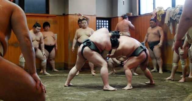 zenpopjapan's tweet photo. The Autumn Basho or #sumo tournament is starting in mid-September. For a cheaper alternative, visit a sumo stable (beya) to watch their morning training session (asageiko). Find out more: https://t.co/ateCD45wNv #basho #honbasho https://t.co/3ELsm8ABsA