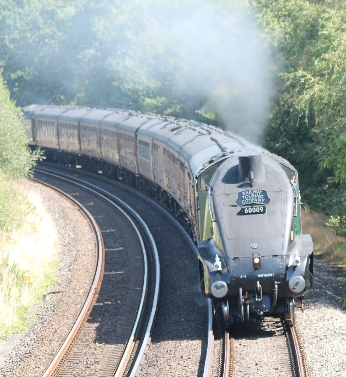 TonyFurnell's tweet photo. Dorset coast express at Holton Lee. Poole Dorset. @railadvent @steamtrain @railwaytouring @RAIL @bbcweather @LHoltonLee #railways #heritage #Dorsetcoastexpress #weymouthbound #bygon #ThursdayMotivation https://t.co/dh1lIqliB5