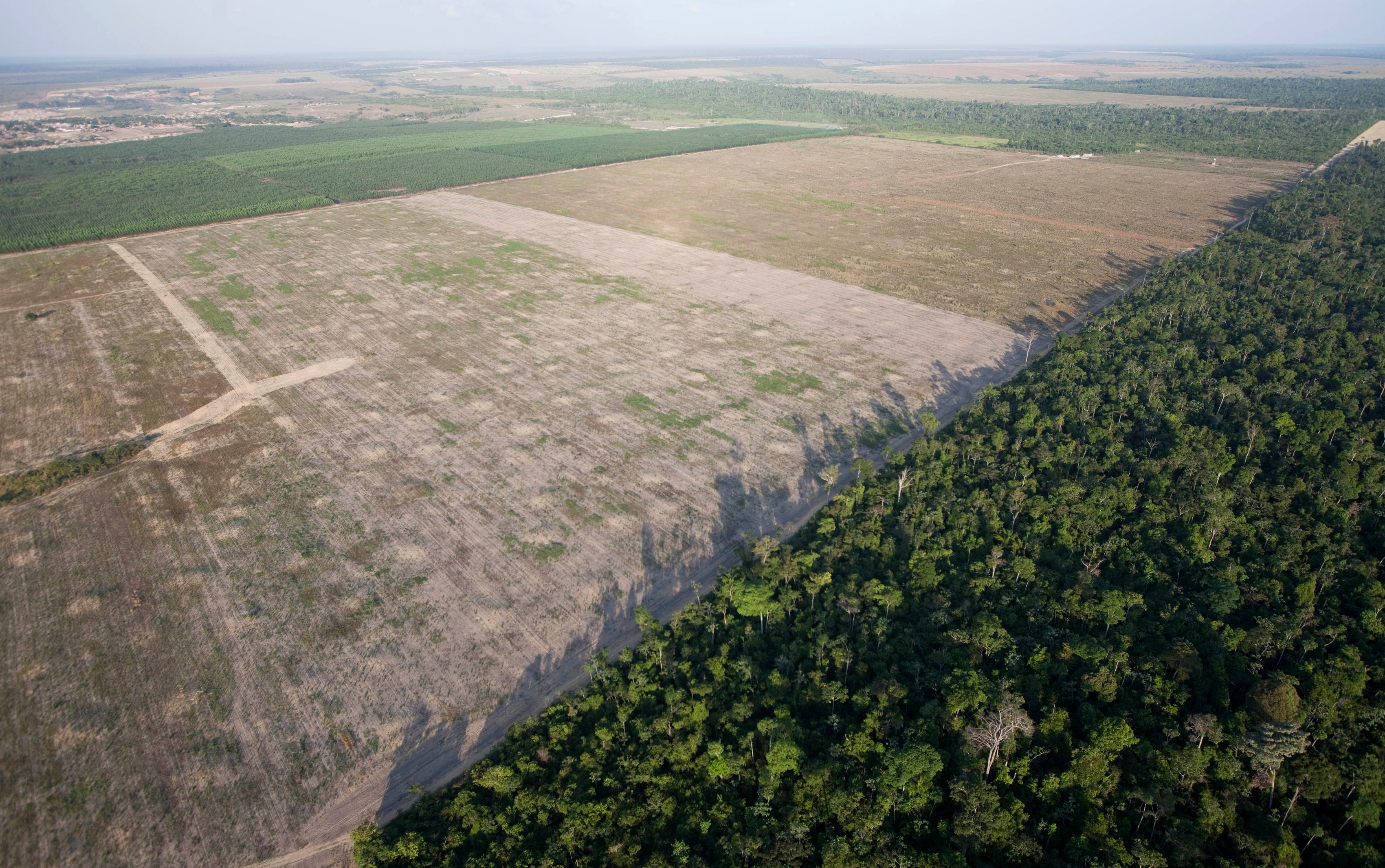 EClBwRvXUAAKtuf?format=jpg&name=4096x409