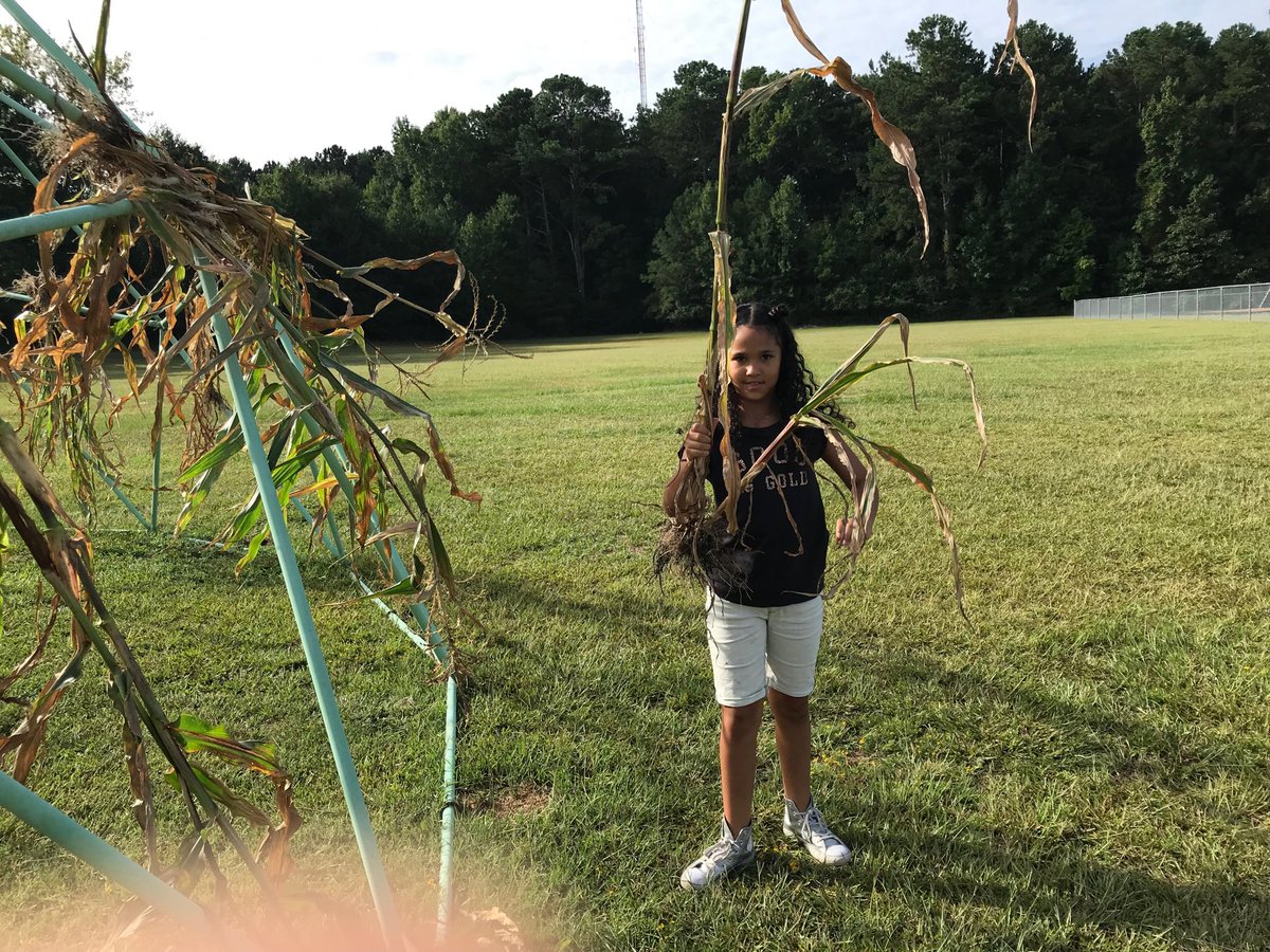 PreissSuzanne's tweet photo. Gardening fun ⁦@rjburches⁩ https://t.co/xjyQ5XM1gS