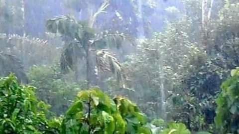DeybidBarrios's tweet photo. -Y LOS NOTICIONES NO PARAN, AHORA MISMO ESTA LLOVIENDO EN EL AMAZONAS CAE FUERTE LLUVIAS DESDE LO MAS ALTO, HACIA 3 AÑOS QUE NO LLOVÍA, Y AHORA LLOVERÁ EL RESTO DE LA SEMANA 🙏❤️
Gracias DIOS mío por tu misericordia
Hay q tener fe y certeza de lo que no se ve
COMPARTAN TODOS 😍💕 https://t.co/kdmMAWwWE8