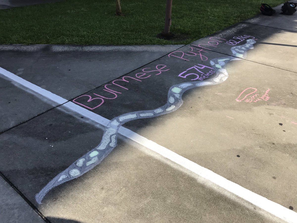 UHS Environmental tweet media